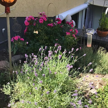 شقة Charmant Pohlheim